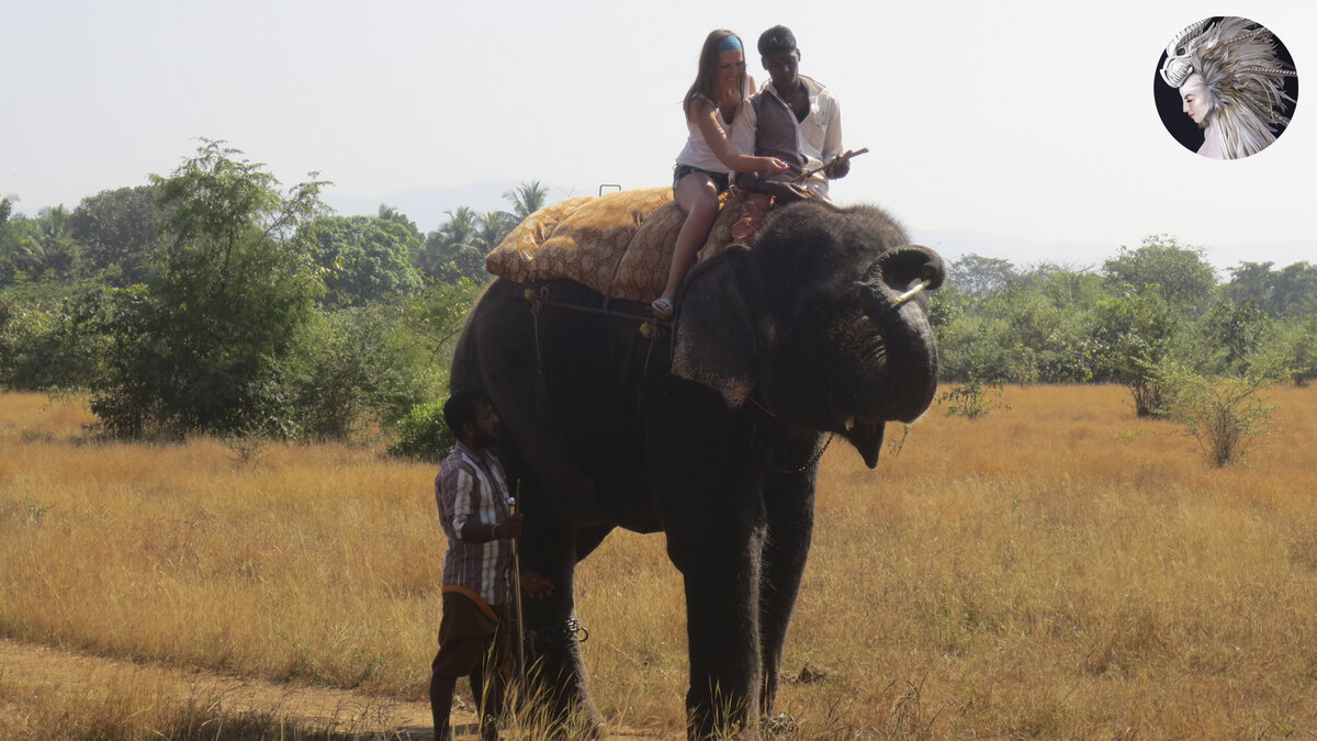 Как я каталась на слоне в Индии