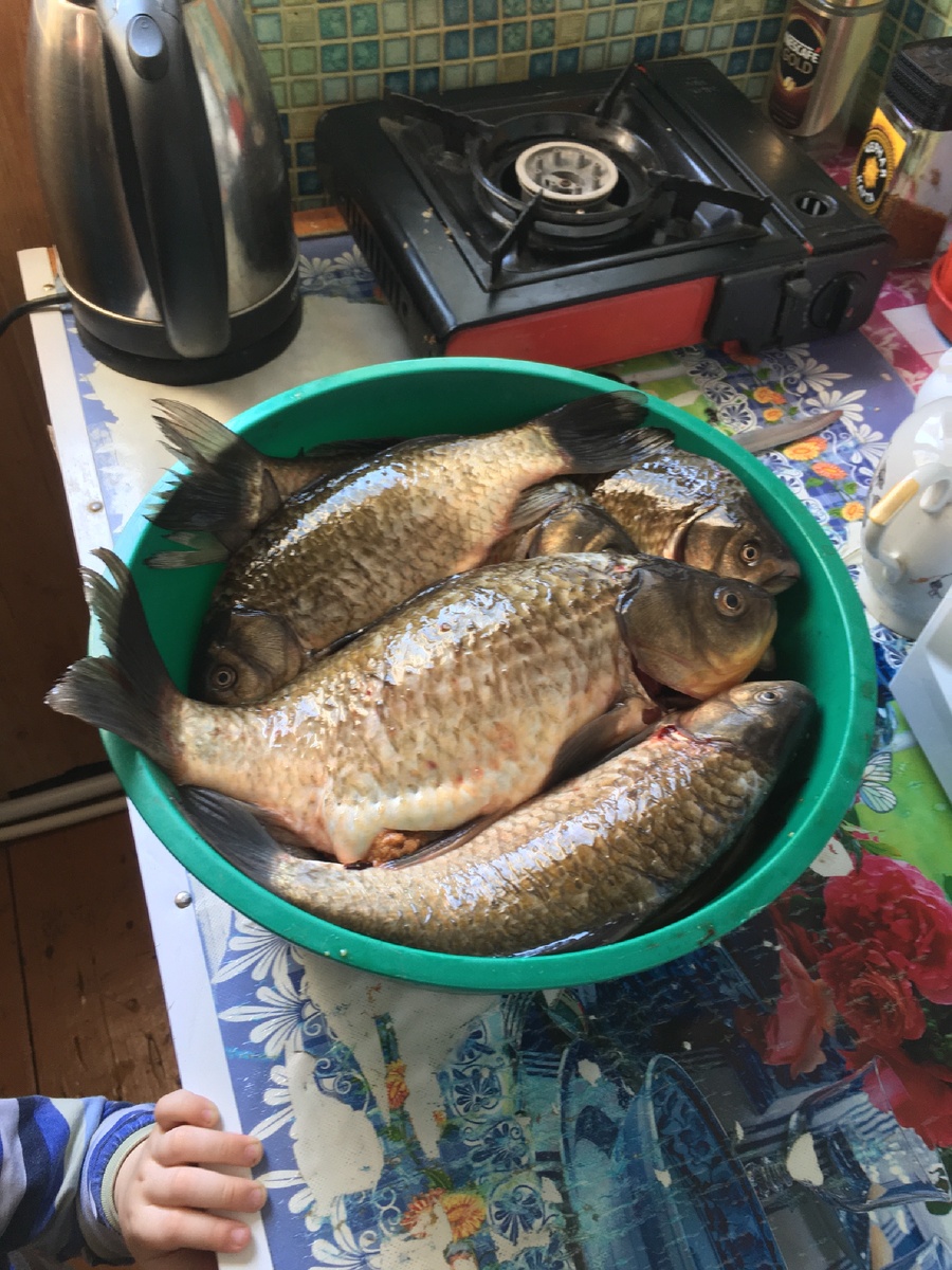 Нет слов 