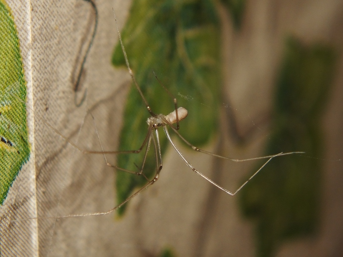 Снимок из личного фотоархива