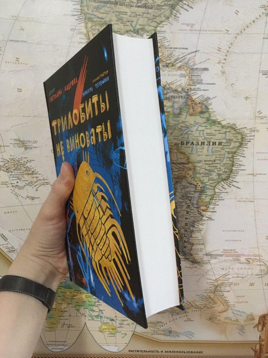 Книга толстая, но читается очень легко и быстро! Листайте галерею, там портреты главных героев и немного разворотов
