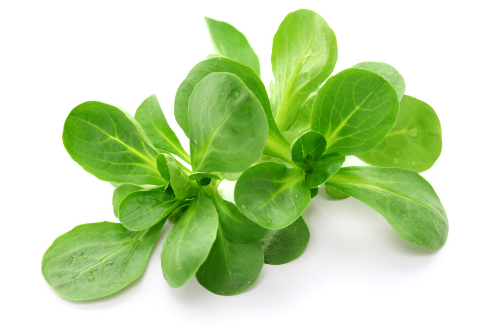 Весенние витамины – зеленые салаты для всей семьи