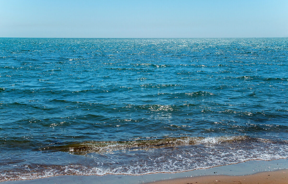 Фото: Виталий Берков