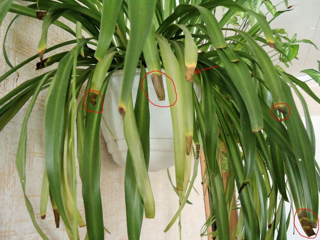 Источник фото: vodakanazer.ru