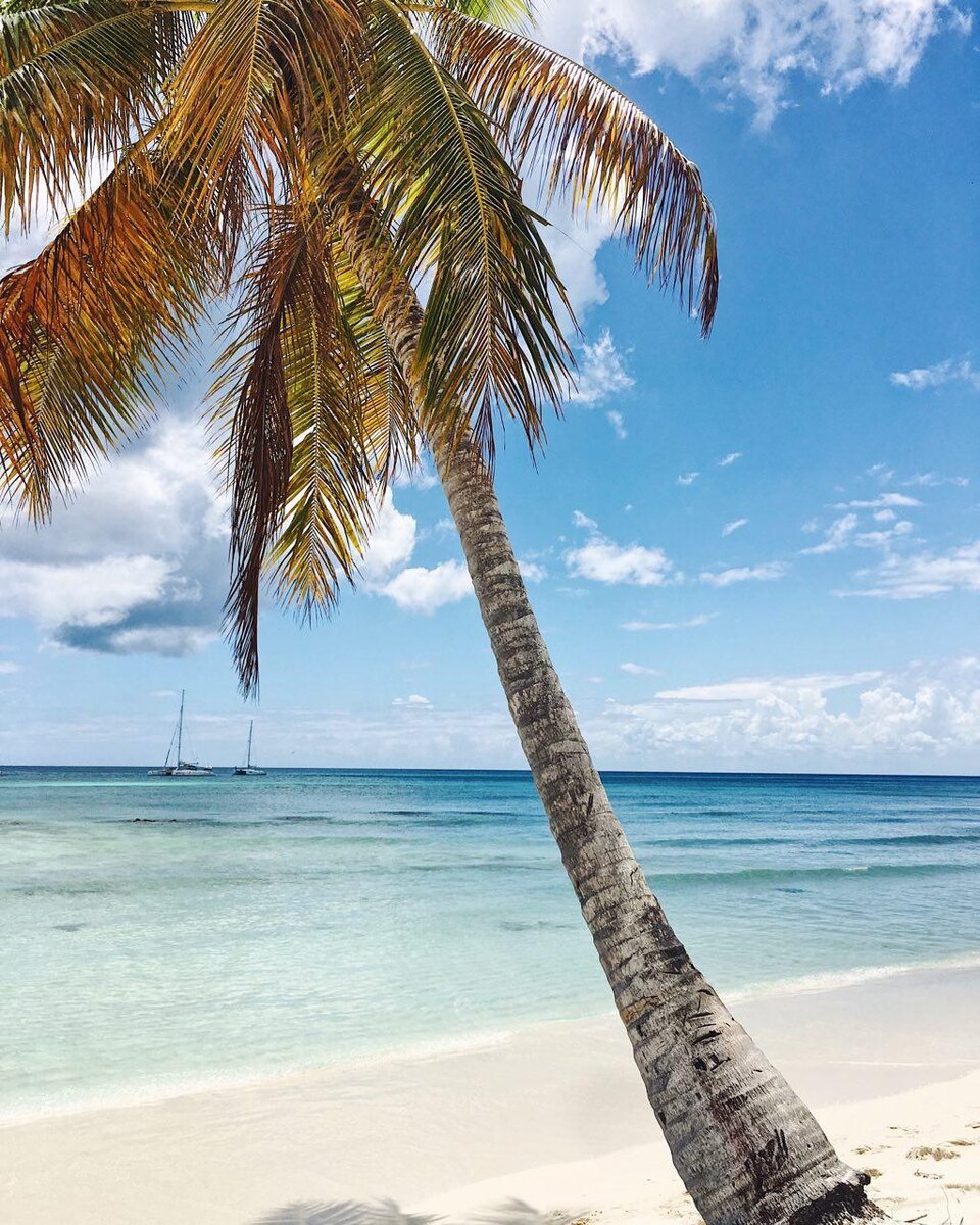 Трудно найти замену вот таким пляжам..