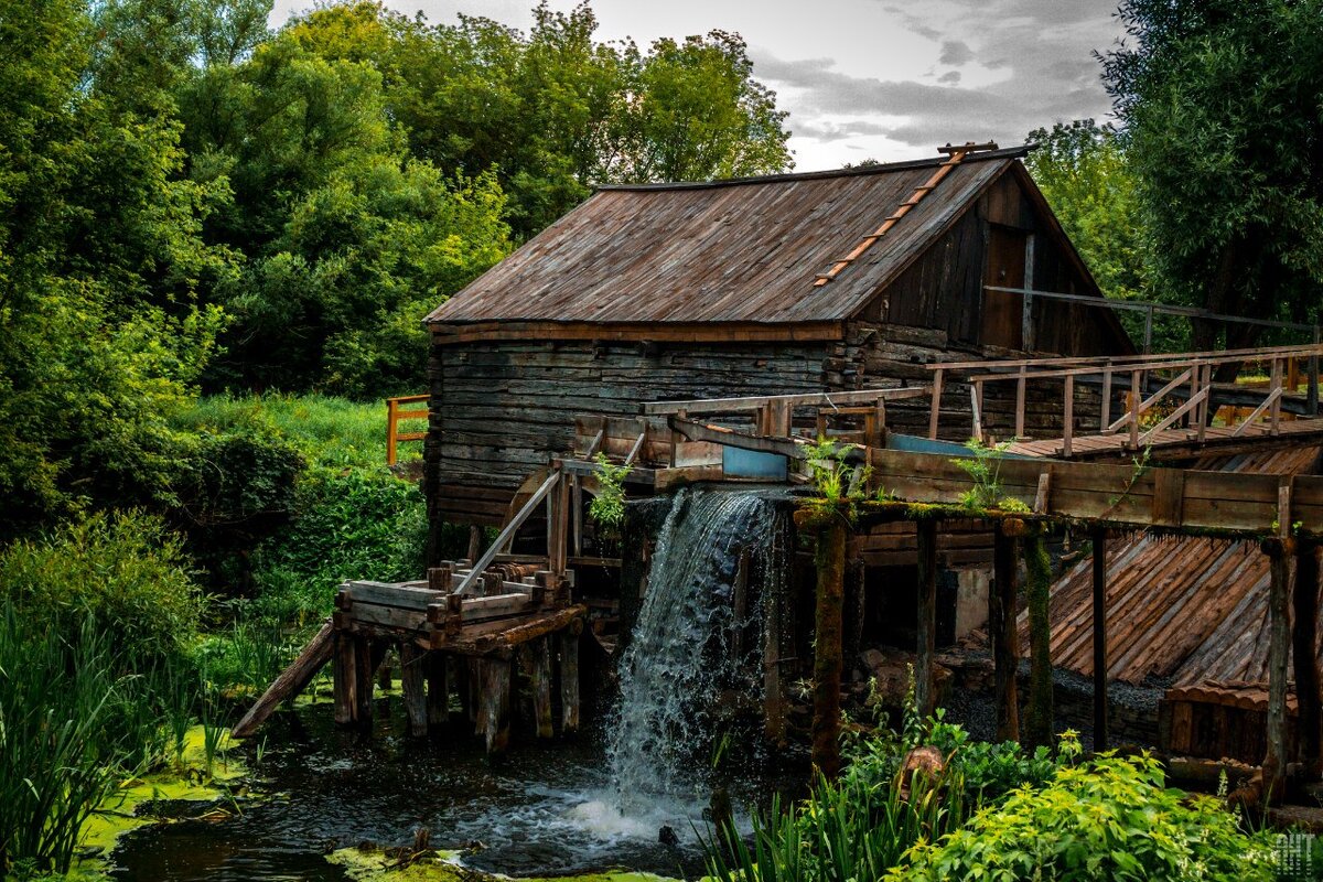 Автор фото Антон Булгаков.