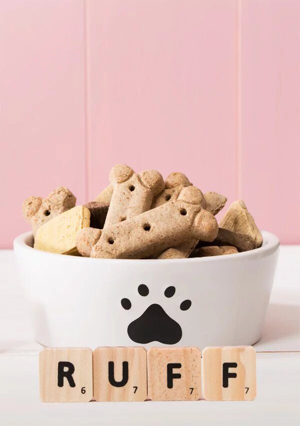 
Существует великое множество кличек собак, как для самок, так и для самцов. Несмотря на это, порой достаточно сложно остановиться на каком-то конкретном имени. Правда, бывает и по-другому, когда хозяин заранее знает, как он назовет своего домашнего любимца. Но в большинстве случаев на поиск подходящей клички уходит не один день, а порой даже и не одна неделя.
