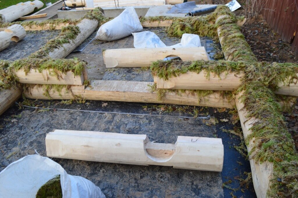 Фотография из открытых источников, автор неизвестен