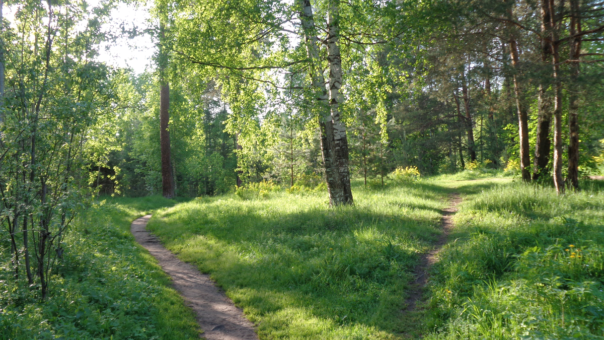 Бегай не хочу, в городском парке