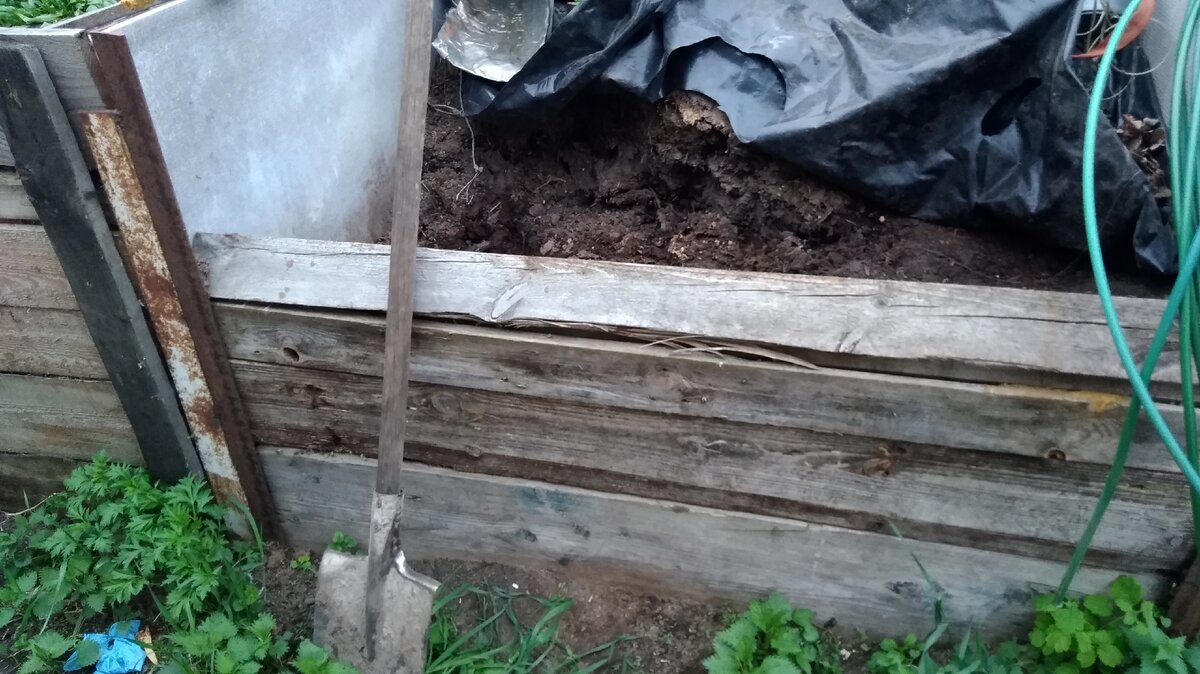Приготовление компоста у нас поставлено "на поток". Почва - песок, поэтому без компоста - никуда.