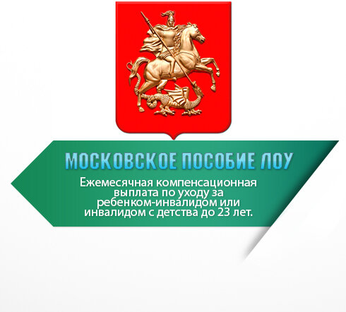 В 2021 году сумма выплаты по уходу за ребенком инвалидом составляет 13.141руб.