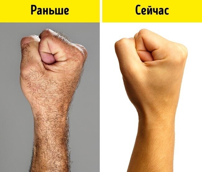 У меня что-то среднее. Фото с Яндекс. Картинки