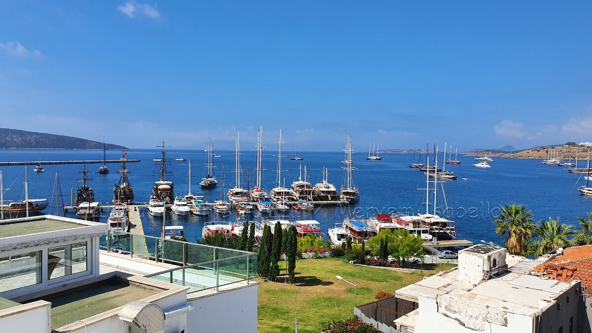 Вот он самый главный плюс отеля Ангора.