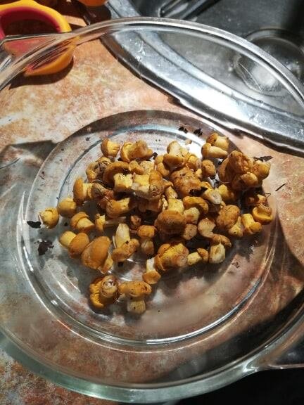 Вот такие малыши)