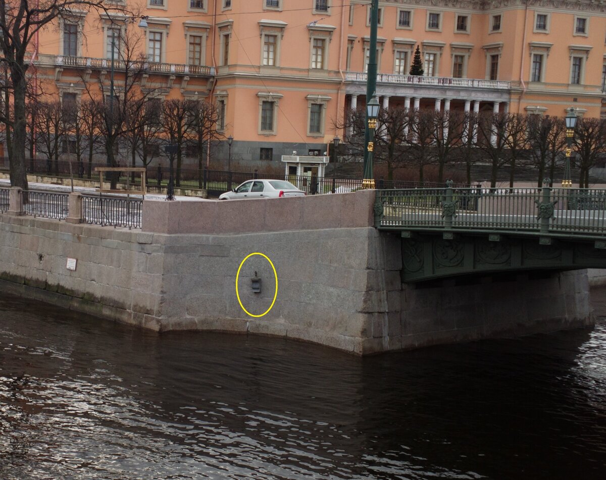 Чижик обведен желтым