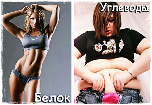 http://www.calorizator.ru/article/body/how-much-protein