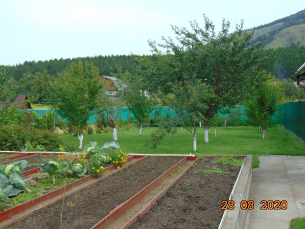 В саду моего соседа