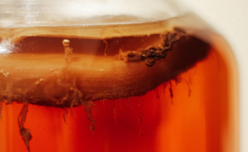 Комбуча или маточный бульон - это смолистое образование дрожжей и микроорганизмов, которые ферментируются в чайном настое.