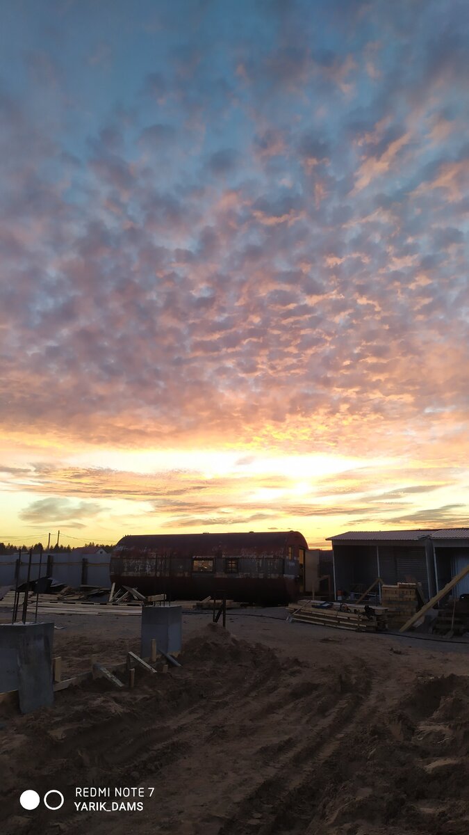 Никола Тесла и голуби