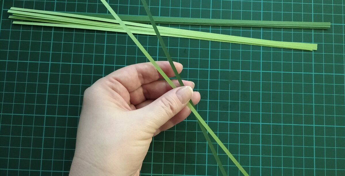 для одной веточки беру две полоски: темно-зеленый и светло-зеленый