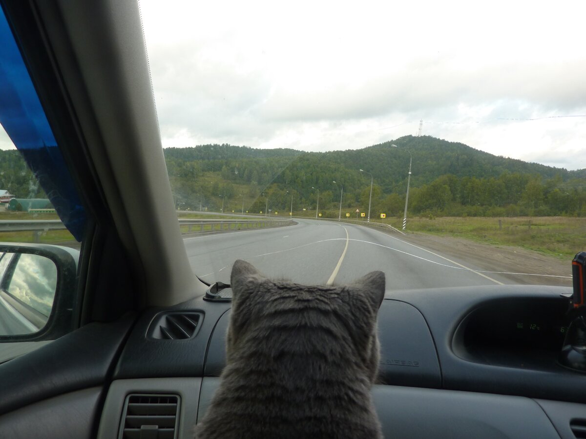 Наш штурман! Впереди Уральские горы! Тут она едет на моих коленях. Для этого я беру с собой специальную подушечку.