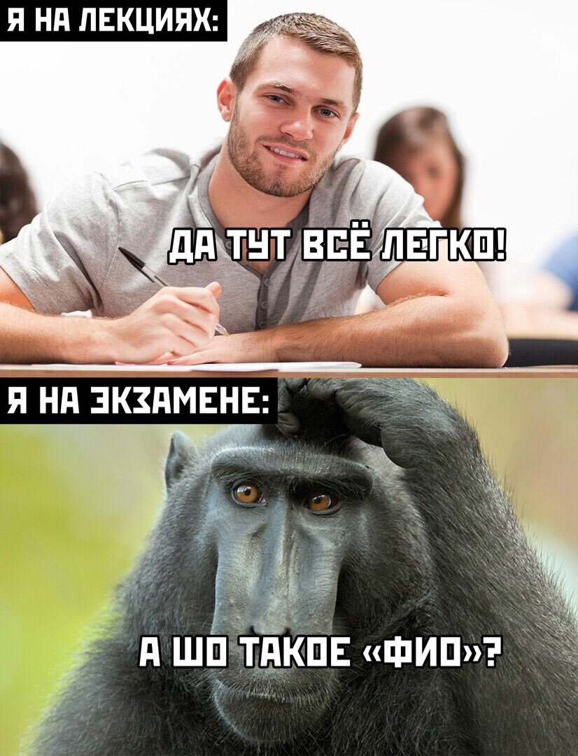 Скачать смешную картинку мем Учёба, такая учёба Смешное и не очень Дзен