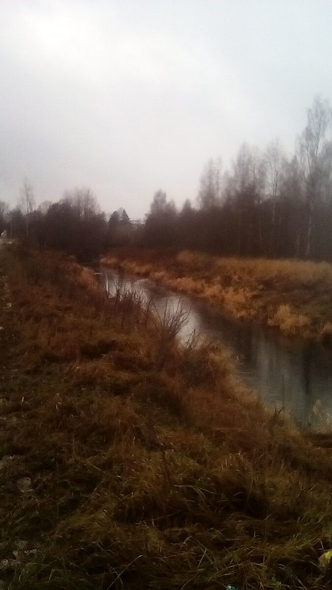 Осуга на Степана Разина