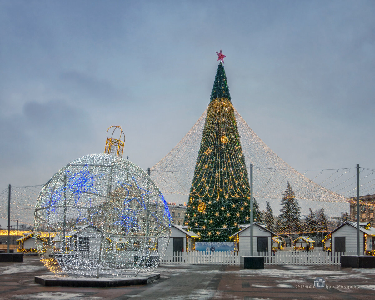 Городская елка. Елка в Белгороде 2021 на площади. Елка на Соборной площади Белгород 2021. Елка на Соборной площади Белгород. Елка Белгород 2022 Соборная площадь.