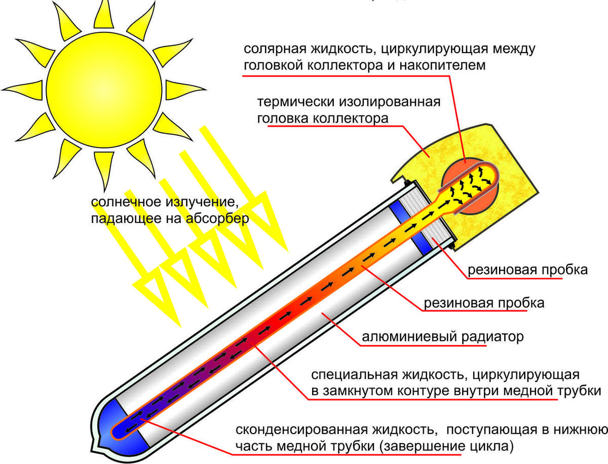 Картинка с интернета.