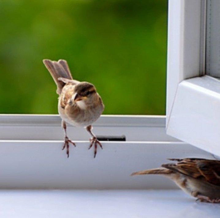 Источник Яндекс.Картинки