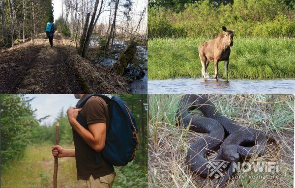 Рисунок 2. Если Вы заблудились, следуйте советам, которые помогут Вам выжить и найти людей