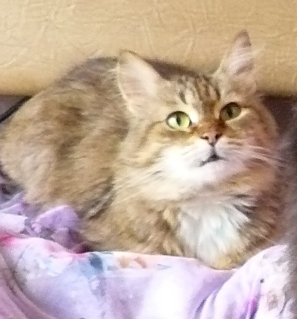 Открытый взгляд - открытая душа