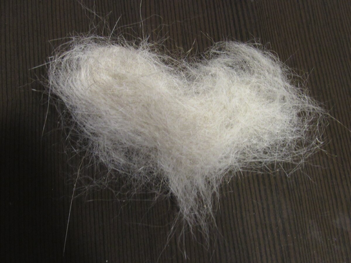 С любовью от кота Ирбиса