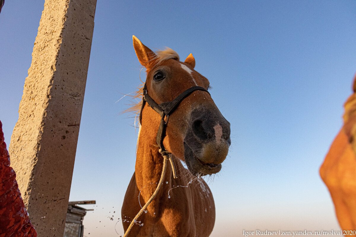 Вкусная водичка!