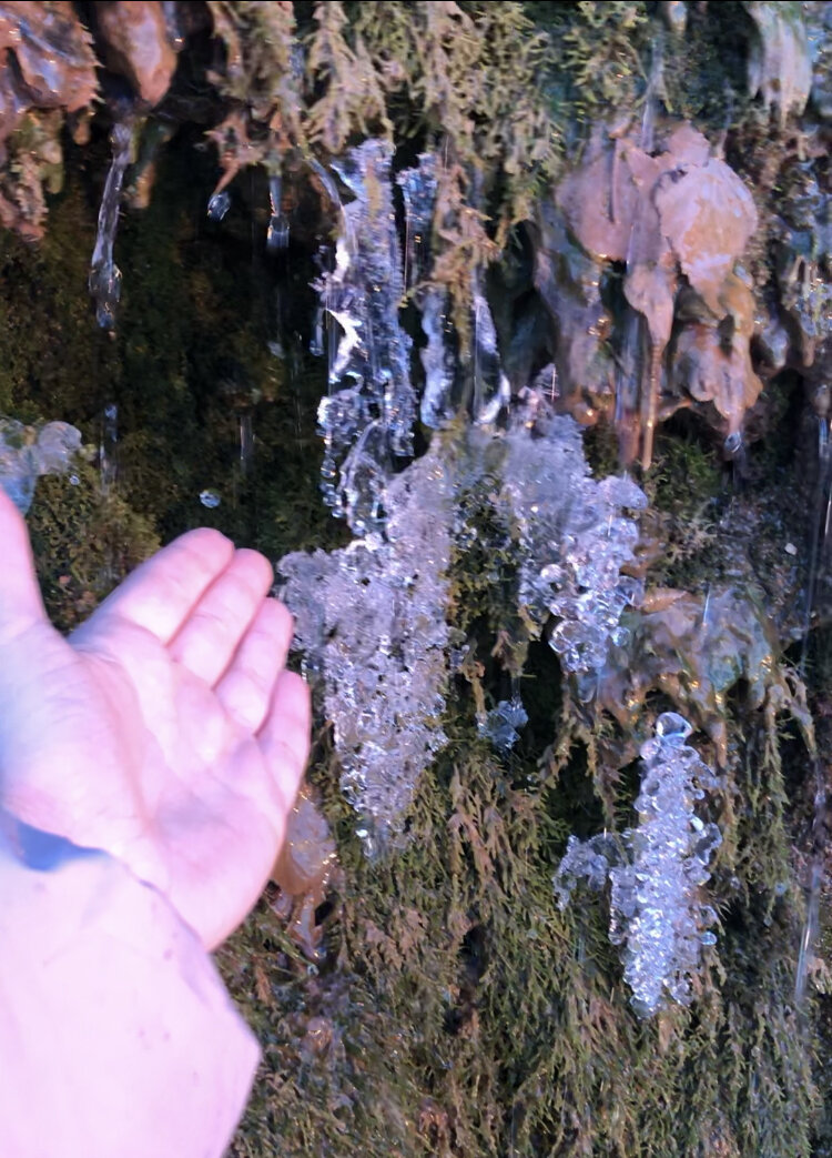 Замшелые подпорные стенки