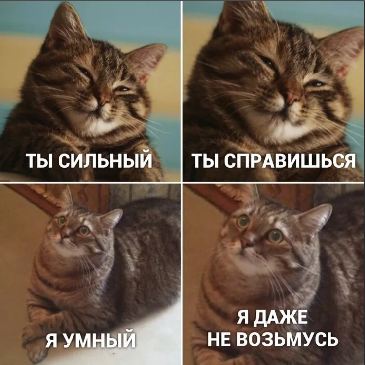 Даже не будет да. Мемы с котами. Мемы с котамb. Vtvs c rjnfnfvb. Кот Мем.