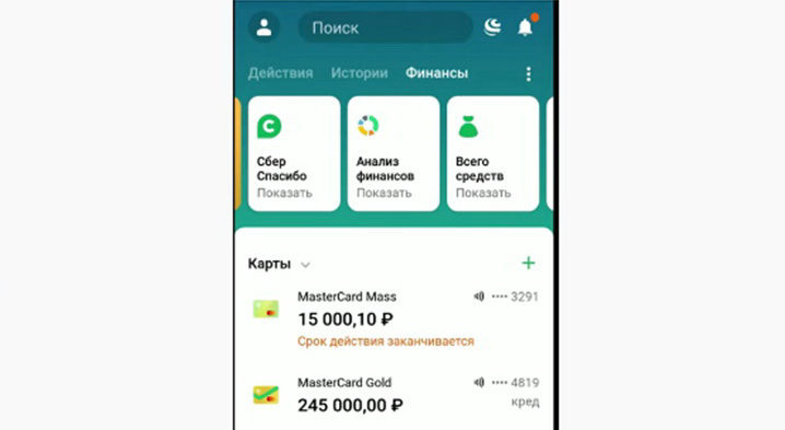 Как отключить сбер пей в сбербанке. Сберпэй приложение. Комиссия Sberpay. Ярлык приложения Сберпэй. Баланс карты Сбербанка