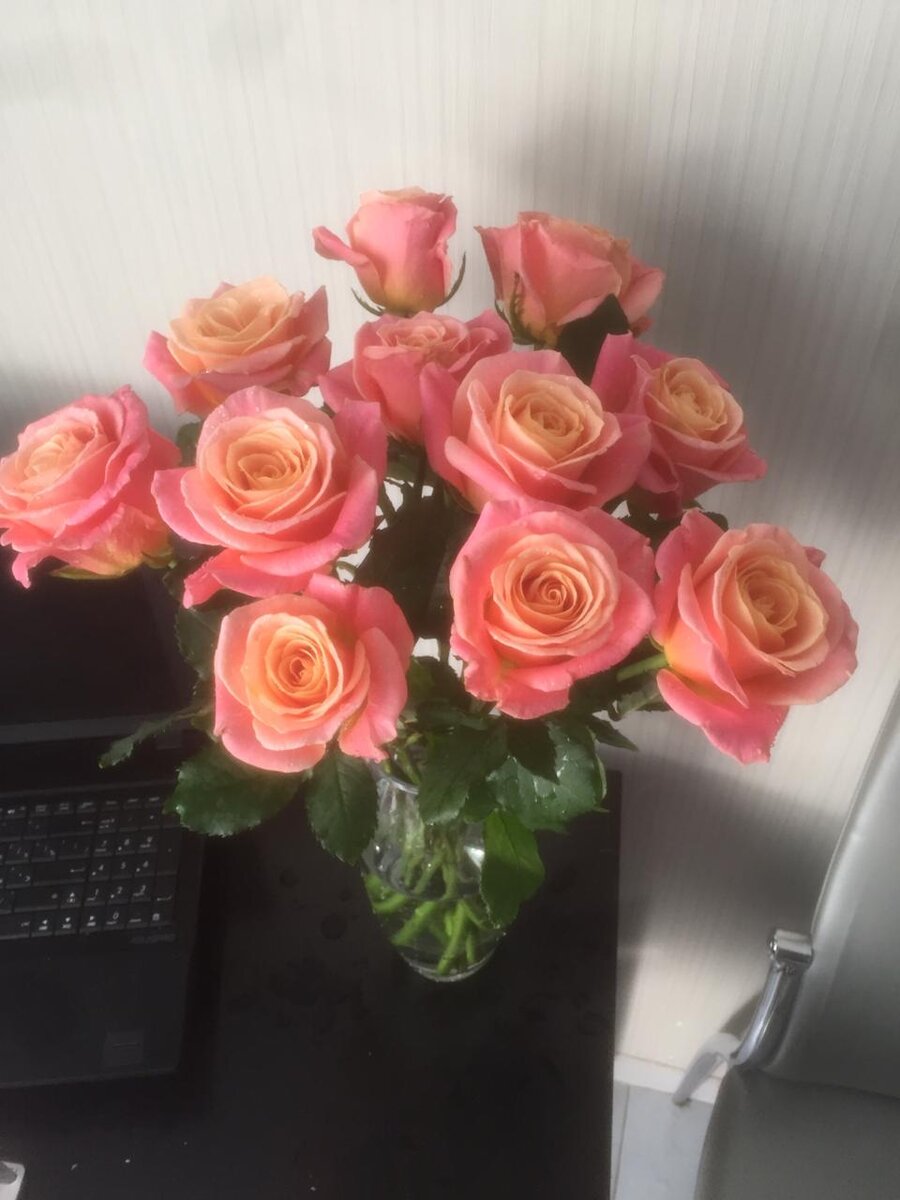 Мой рабочий стол. Праздную первый месяц на Яндекс.Дзен