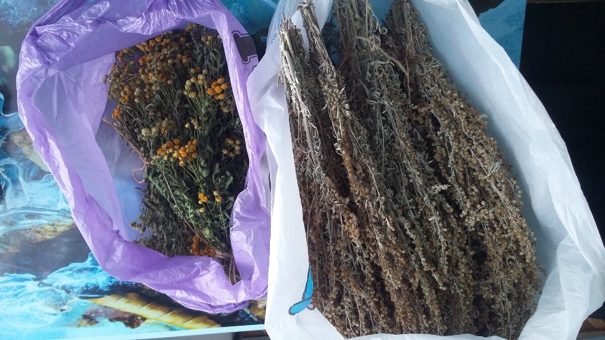 Это наши запасы на этот год