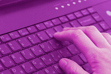 Фото из интернета. Источник (бесплатный фотосток): adobe stock