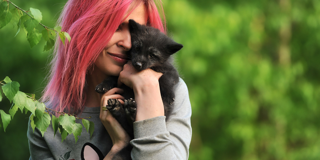 Лисьи семьи! Жаль, что не у нас :)