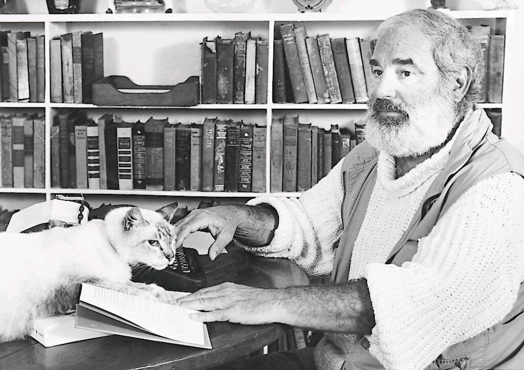 Фото Яндекс.Картинки