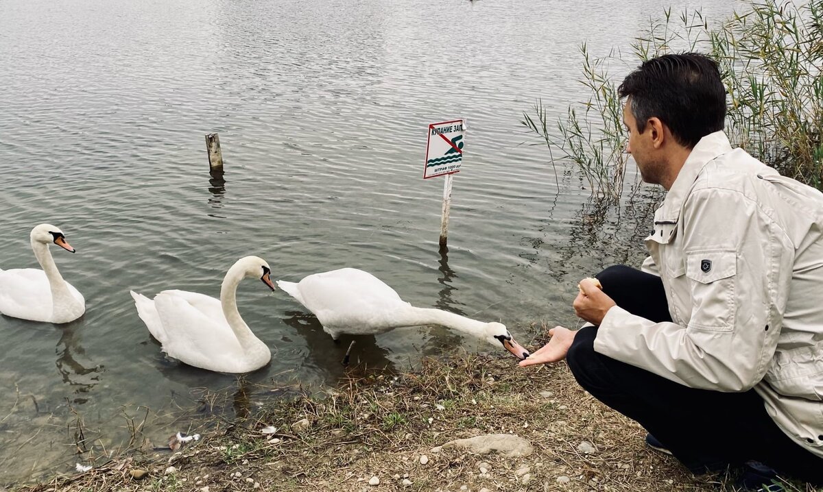 Я и Природа. Сказание о раскрытии чувствительности.