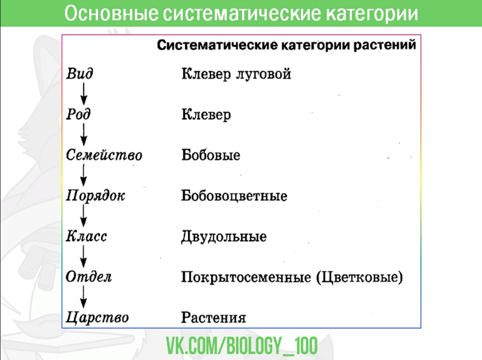 Классификация растений таблица. Классификация растений ЕГЭ.