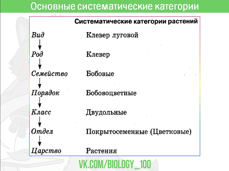 Классификация растений ЕГЭ.
