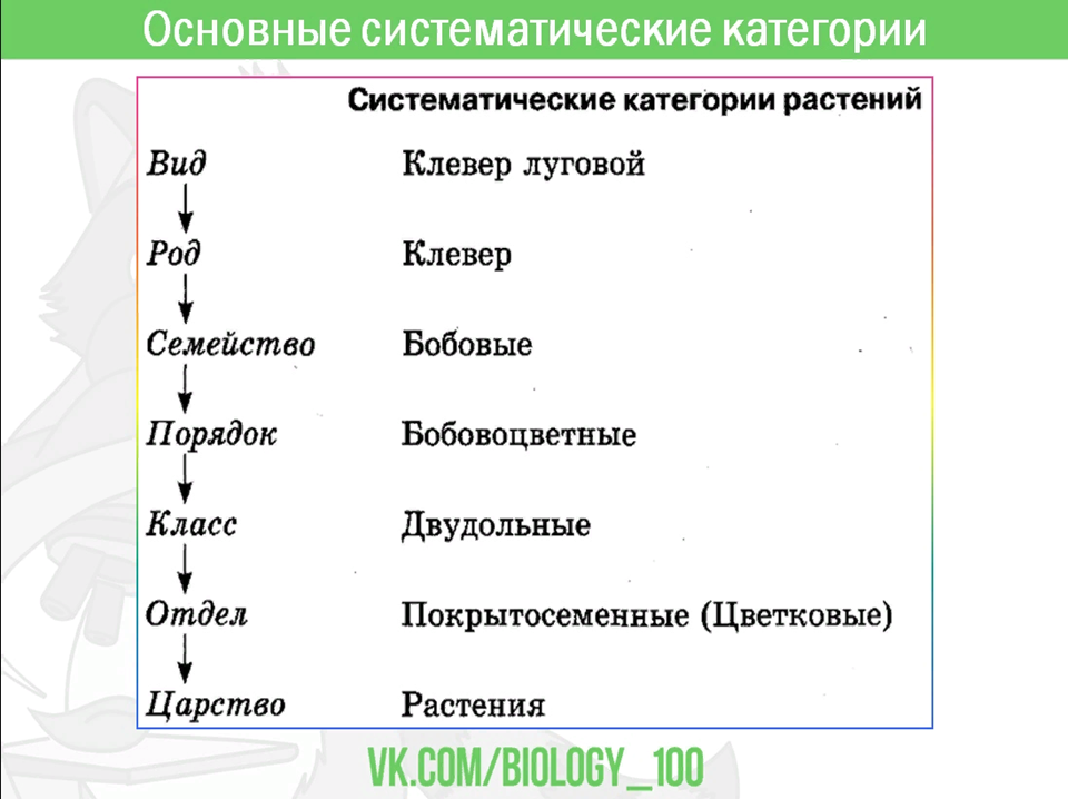 3 классификации растений. Классификация растений ЕГЭ.