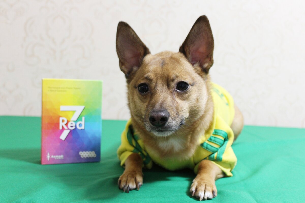 Различаю все цвета, что бы там не говорили эти ученые!