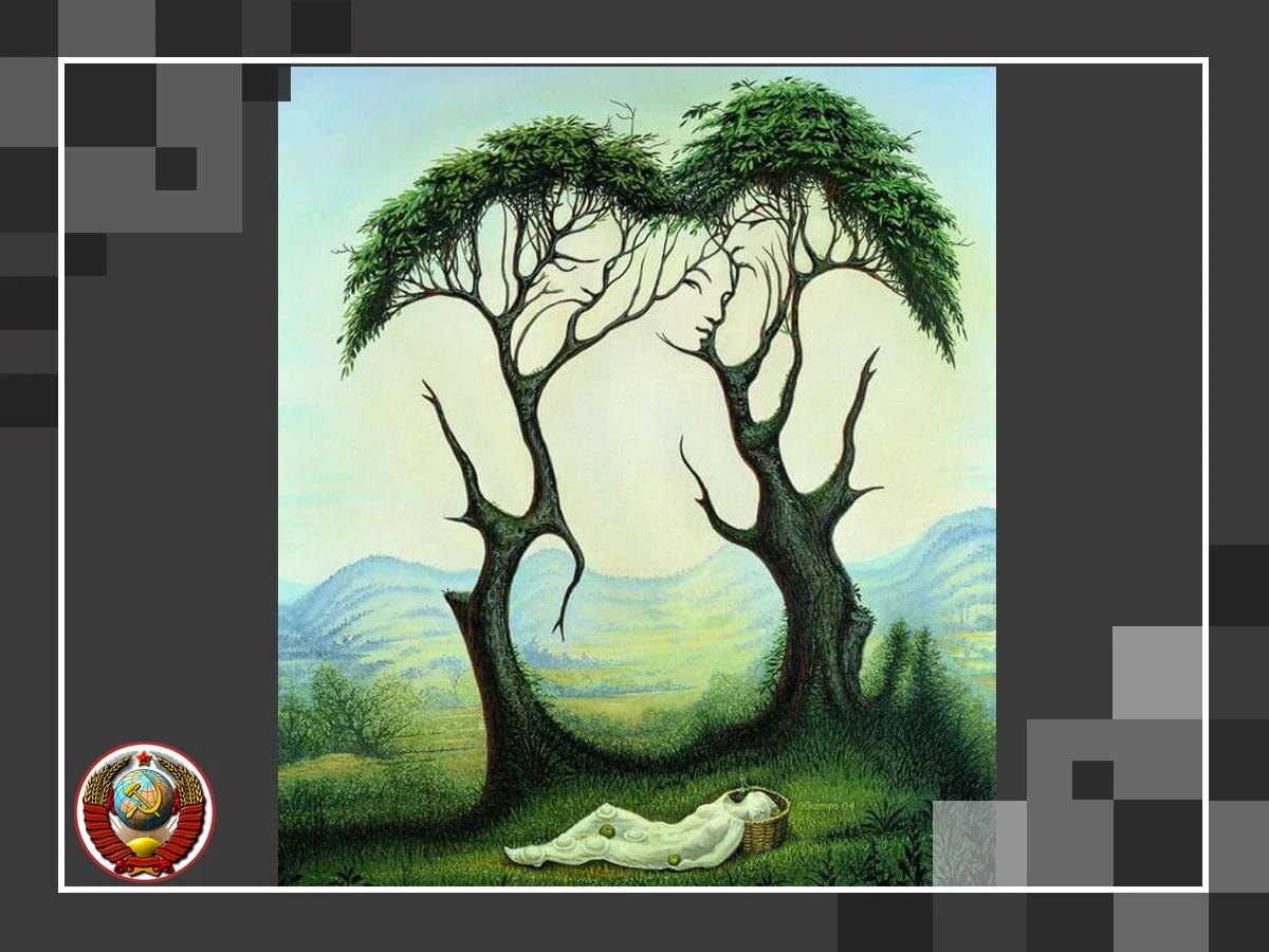 Фото из открытого источника