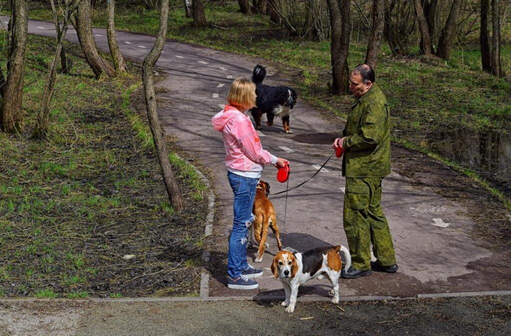 из открытых источников