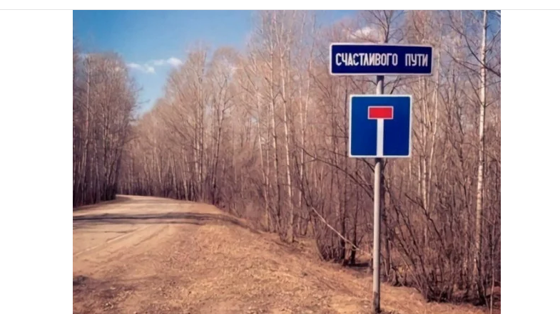 Фото с Яндекс-подборок