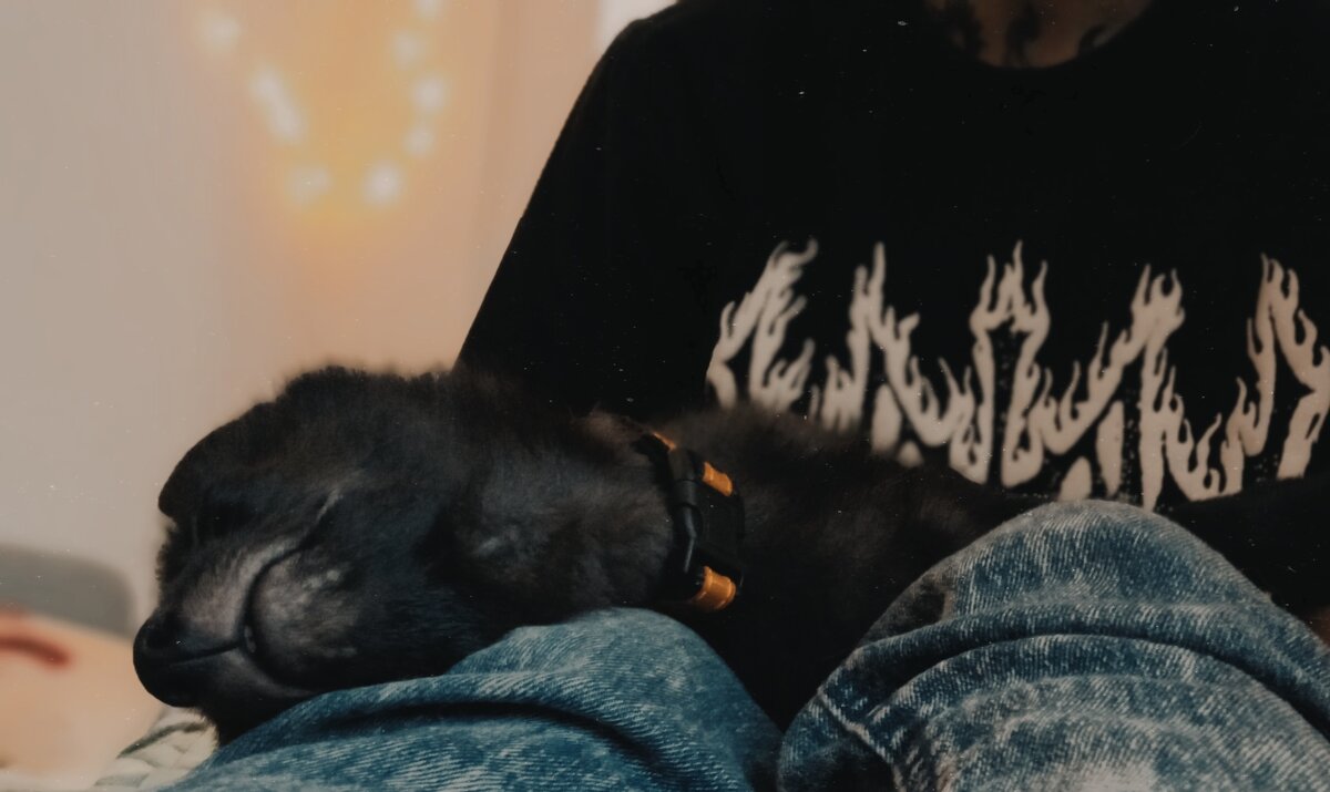 фото: личные архивы